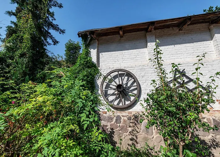 Am Salzhaff B6 Apartment *